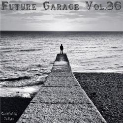 VA - Future Garage Vol.36