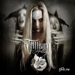 Trillium - Alloy