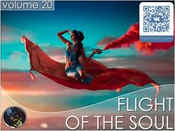 VA - Flight Of The Soul vol.20