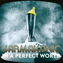 Karmakanic - In a Perfect World