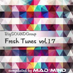 VA - Fresh Tunes vol.17 from Mad M!nd