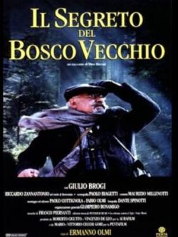    / Il segreto del bosco vecchio VO