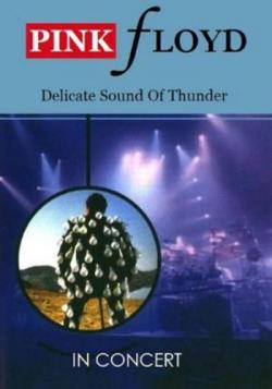 Pink Floyd - In Concert - Delicate Sound Of Thunder