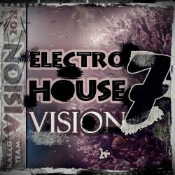 VA-Electro House Vision vol.7