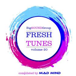 VA - Fresh Tunes vol.20 from Mad M!nd