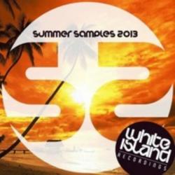 VA - Summer Samples 2013