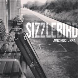 SizzleBird - Avis Nocturna