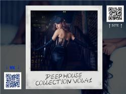 VA - Deep House Collection vol.41