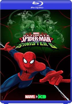 - /  - (1-4 , 1-104   104) / Ultimate Spider-Man DUB