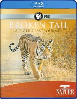 C :    / Nature - Broken Tail: A Tiger's Last Journey VO