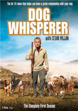      .  1 ( 1 - 26) / Dog Whisperer with Cesar Millan VO