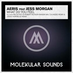 Aeris feat. Jess Morgan - What Do You Feel
