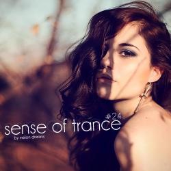 VA - Sense Of Trance #24