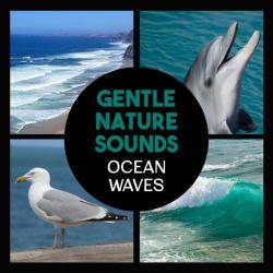 VA - Gentle Nature Sounds: Ocean Waves Calming Music for Relaxation Healing Waters