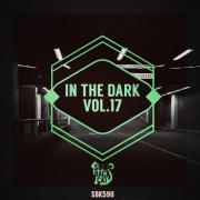 VA - In the Dark, Vol. 17