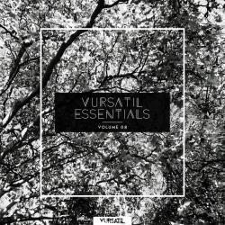 VA - Vursatil Essentials 08