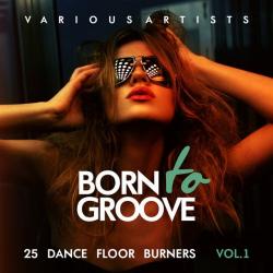 VA - Born To Groove: 25 Dance Floor Burners Vol.1