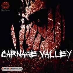 VA - Carnage Valley