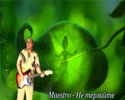 Maestro -  