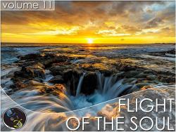 VA - Flight Of The Soul vol.11