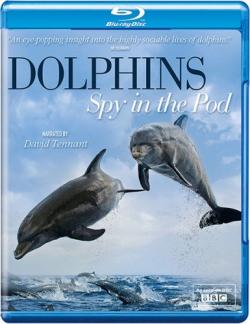 .    (2   2) / Dolphins. Spy In The Pod VO