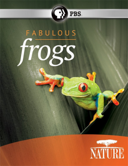   / Fabulous Frogs VO