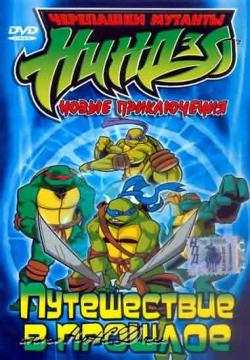    / Teenage Mutant Ninja Turtles