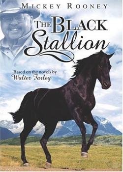   / Black Stallion