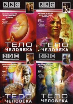 BBC:   (4 ) / BBC: The Human Body