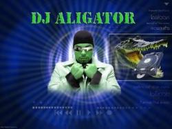 DJ Aligator-The Best (2001-2007) Mp3 - 320kbps (2007)