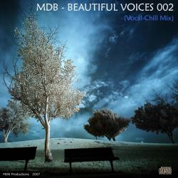 BEAUTIFUL VOICES 002 (a.k.a.VOCAL-CHILL MIX 2) (2007)