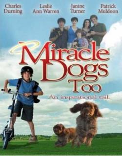   - / Miracle Dogs Too