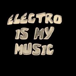 The Best of Electro House (2007)
