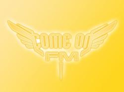 MC  & DJ -Come On Fm (Radio_Record_19.02.2008) (2008)