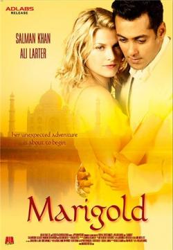 :    / Marigold (2007) DVDRip
