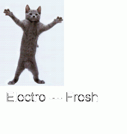 ELECTRO FRESH ! Only- Best Electronic Music (2008)