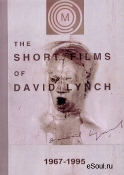     / The Short Films of David Lynch