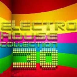 Electro House Collection vol. 30