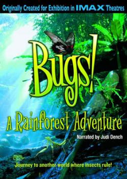 ! 2D    /Bugs! 2D A Rainforest Adventure pic