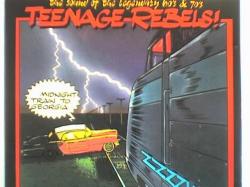 Various Artists - Teenage Rebels - Midnight Train To Georgia
