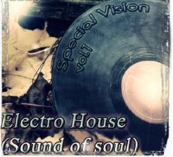 VA - Special Vision Electro House vol.1