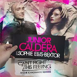 Junior Calder feat. Sophie Ellis Bextor - Cant Fight This Feeling