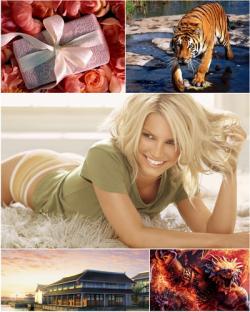 Best Mixed Wallpapers Pack  42