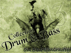 VA - Drum and Bass Collection 13