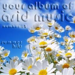 VA - Your album of acid music Number 12
