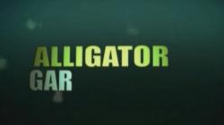 -.   / Monster fish. Alligator gar