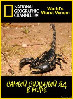 National Geographic.      / World's Worst Venom