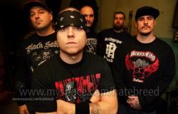 Hatebreed - Discography