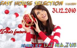 VA - Fast House Selection # 004 (Happy New Year 2011)