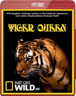   / National Geographic : Tiger Queen